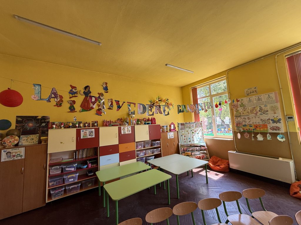 15. SĂLĂTRUC BEFORE_CLASĂ