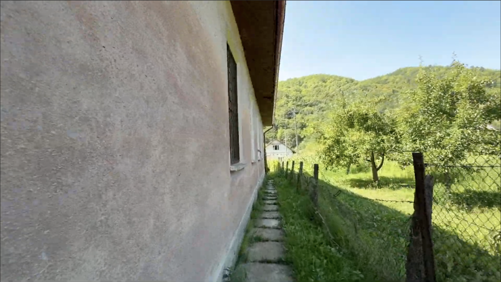 25. SĂLĂTRUC BEFORE_LATERAL